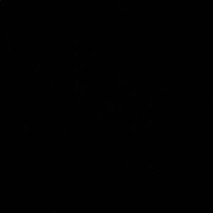 Meet your Posher, Ariane